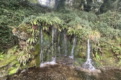 IMG_7511-dimensioni-grandi